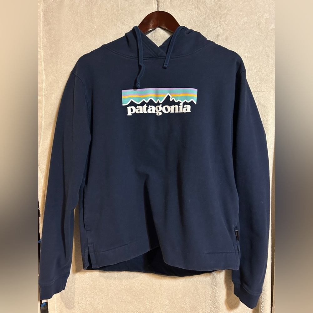 Rare Women’s Pastel Patagonia Sweatshirt